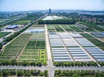 2017武漢種業博覽會亮點紛呈!種博會工作步步高!