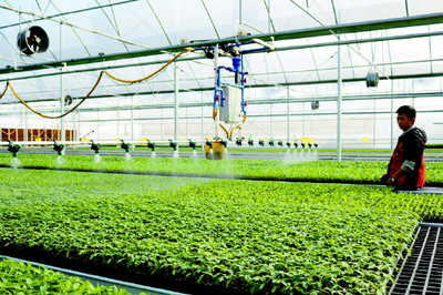 立法為加快廣東種業(yè)發(fā)展保駕護航