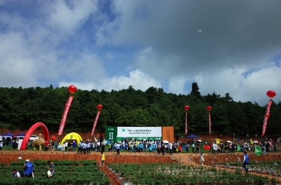 2019云南蔬菜種業(yè)博覽會開幕，推動種業(yè)創(chuàng)新與蔬菜產(chǎn)業(yè)升級