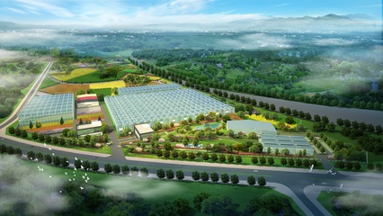 加強(qiáng)國際交流合作，推進(jìn)花卉種業(yè)再上新臺階