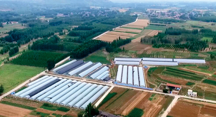 山東宇泰生物種業(yè) 聚焦種業(yè)創(chuàng)新，助力農(nóng)業(yè)強(qiáng)國建設(shè)